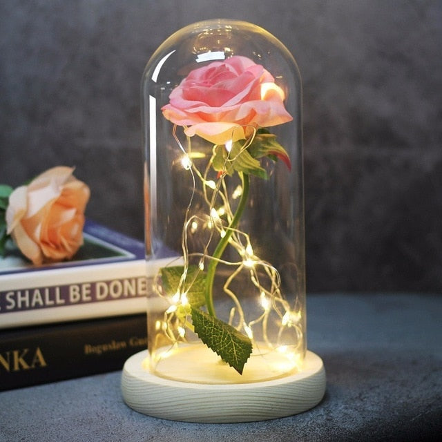 La Belle et la Bête Rose dans un flacon LED Fleur de rose Base noire Dôme en verre