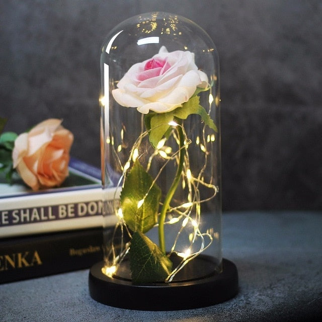 La Belle et la Bête Rose dans un flacon LED Fleur de rose Base noire Dôme en verre