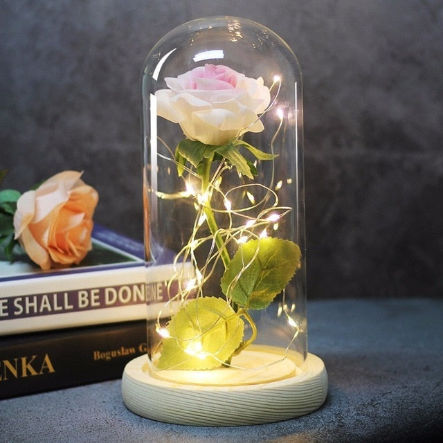 La Belle et la Bête Rose dans un flacon LED Fleur de rose Base noire Dôme en verre